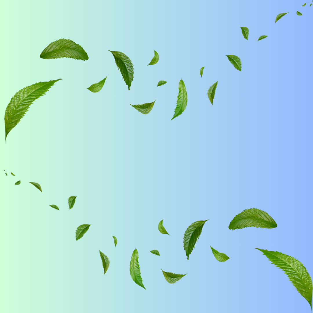 Hair Back in 60™ – The Ultimate 60-Day Hair Transformation Kit